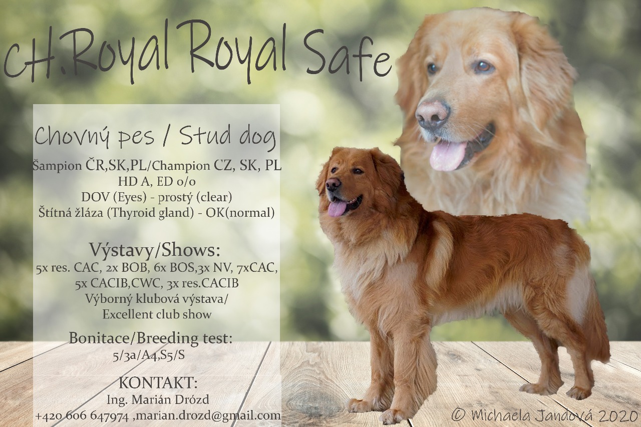 Royal Royal Safe :: ze Starého Šumbarku