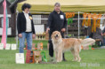 /album/fotogalerie-aslan-aura-allisto/dsc03902-dxo-jpg/