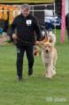 /album/fotogalerie-aslan-aura-allisto/dsc03871-dxo-jpg/