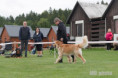 /album/fotogalerie-aslan-aura-allisto/dsc03409-dxo-jpg/