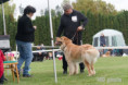 /album/fotogalerie-aslan-aura-allisto/dsc03385-dxo-jpg/